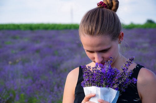 Alteya USDA Certified Organic Lavender Bud Tea